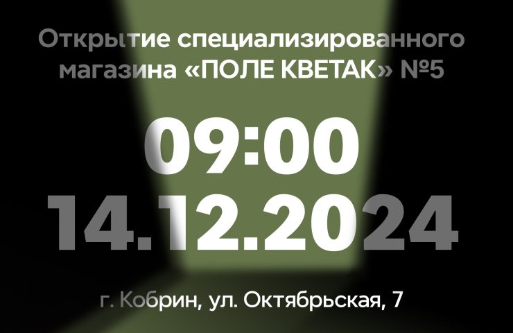 Открытие Кобрин
