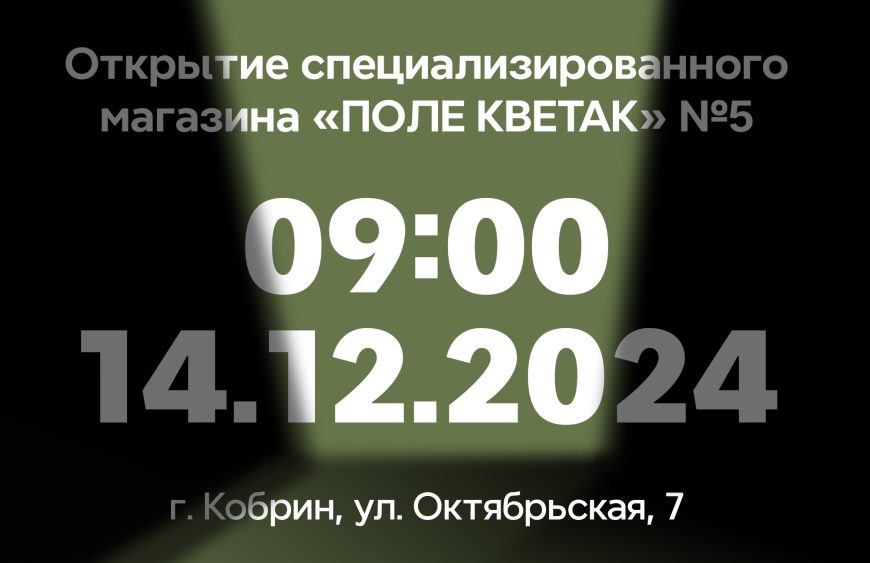 Открытие Кобрин