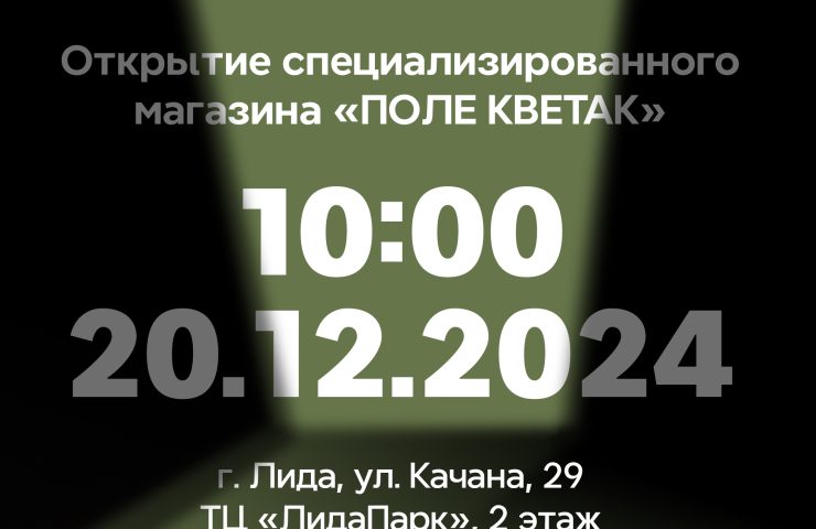 Открытие Лида