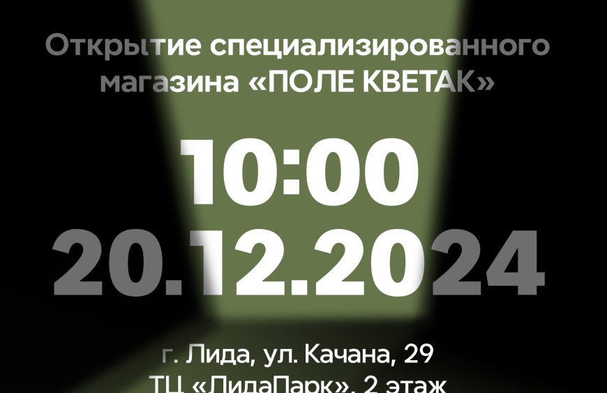 Открытие Лида