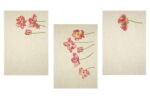 Комплект полотенец из 3 шт. арт. 22С145-ШР+К/п.р/фкор , р. 45*60 , рис. 294 , вид. 1 , 1 сорт — изображение 2
